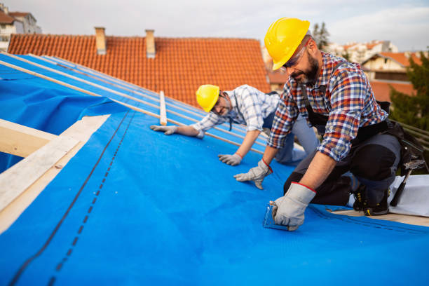 Roof Gutter Cleaning in Kinnelon, NJ